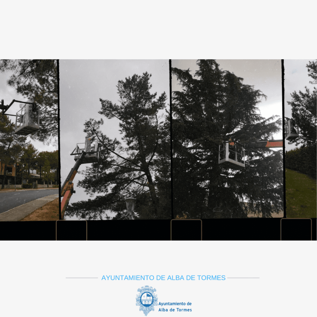 Alba de Tormes retira bolsones de procesionaria del pino en El Pinar y otras zonas verdes del municipio