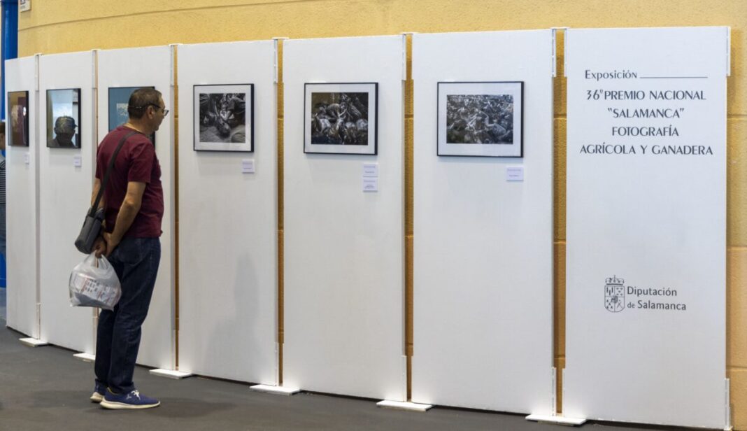La Diputación de Salamanca convoca la 37ª edición del Premio Nacional de Fotografía Agrícola y Ganadera con 4.000 euros en premios