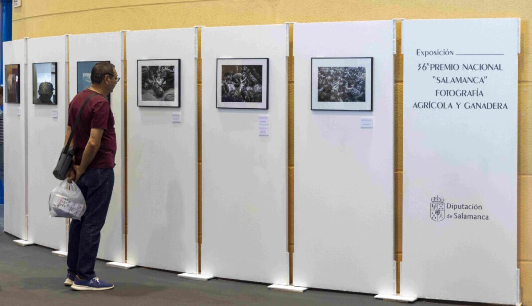 La Diputación de Salamanca convoca la 37ª edición de su Premio Nacional de Fotografía Agrícola y Ganadera
