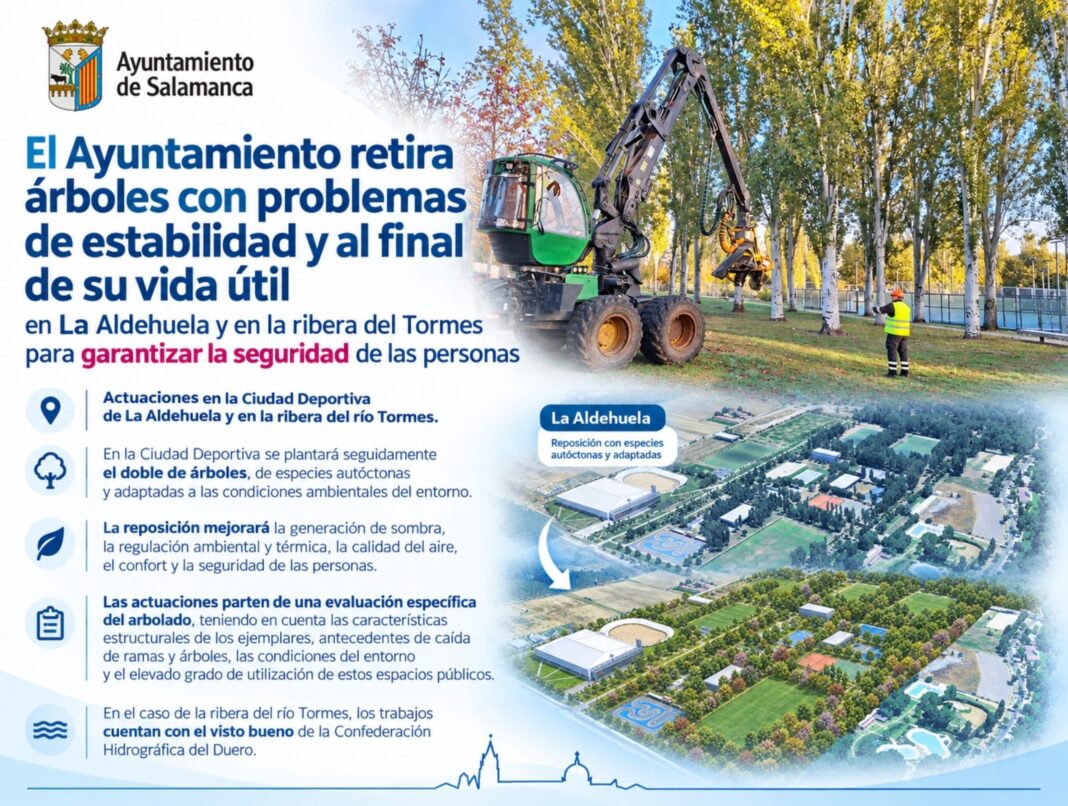El Ayuntamiento de Salamanca retira árboles con problemas de estabilidad en la Ciudad Deportiva de La Aldehuela