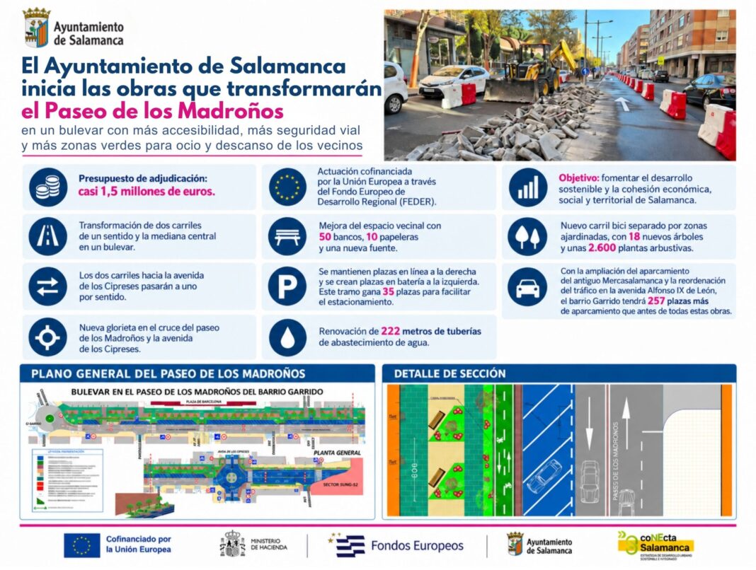 Salamanca inicia las obras del bulevar del paseo de los Madroños, con un plazo de diez meses